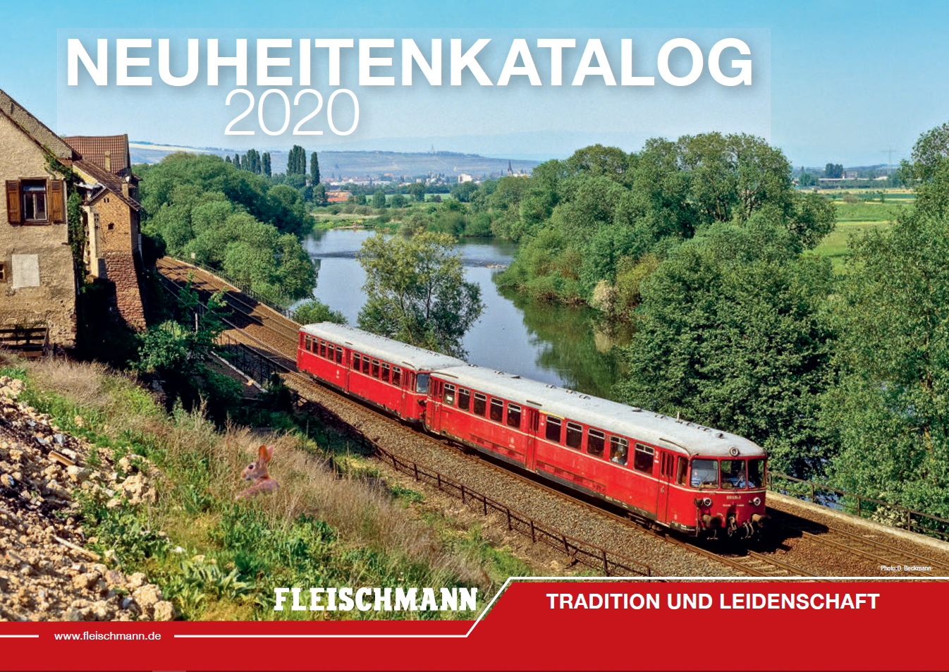Fleischmann 2020